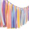 Pastel Rainbow Ribbon Tassel Garland Colorful Fabric Banner Hanging Patry Decoration Backdrop for Baby Shower, Highchair, Birthday Macron Banner Backdrop Decor 40 Inches(L) X 14 Inches(W)